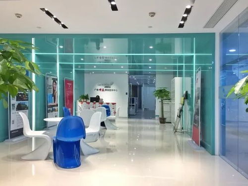 高质量发展新国企报道 广东中旅出国顾问创新留学业务发展思路