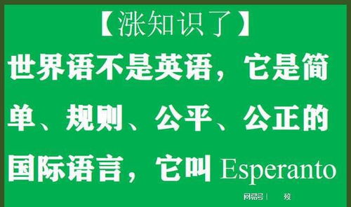 美国人艾米 波普当选国际移民组织首位女性总干事