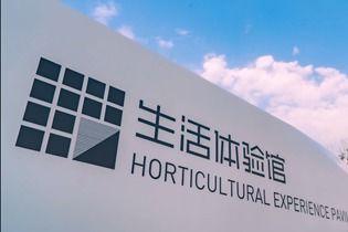 茶界影像 中国网